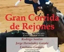 CARTEL REJONES e1440608589220