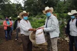 Realiza SEDEA la entrega de fertilizante orgánico y semillas en Jalpan de Serra