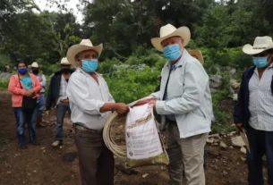 Realiza SEDEA la entrega de fertilizante organico y semillas en Jalpan de Serra 2