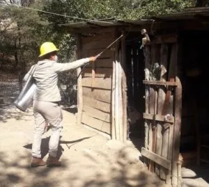 Sigue las medidas preventivas para evitar contagio de Dengue