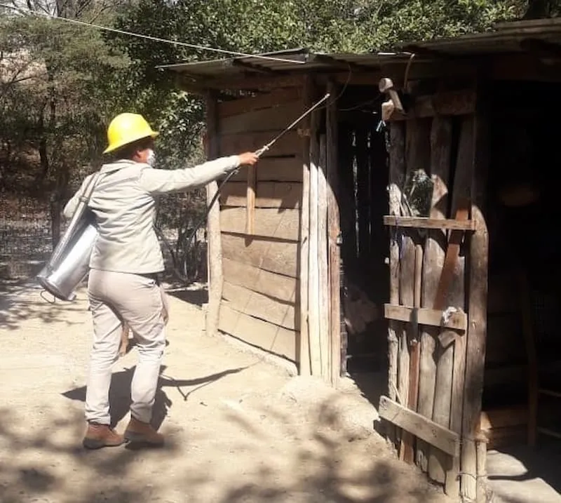 Sigue las medidas preventivas para evitar contagio de Dengue