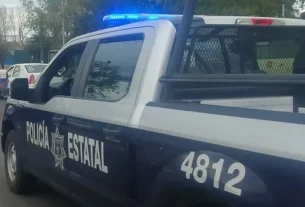 Encuentran desmembrado en la carretera Portezuelo - Palmillas.
