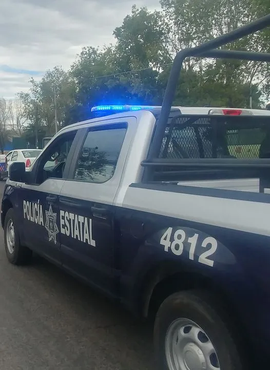 Encuentran desmembrado en la carretera Portezuelo - Palmillas.