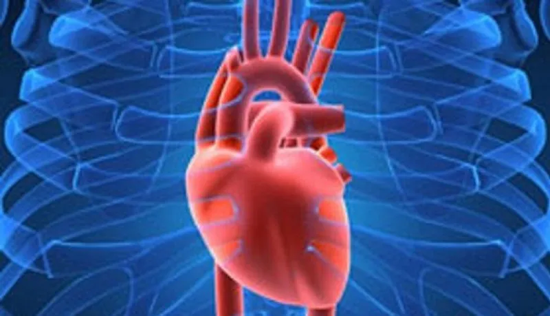 La hipertension arterial es un factor de riesgo cardiovascular frecuente ¡Cuidate 1