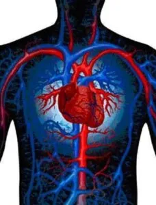 La hipertensión arterial, es un factor de riesgo cardiovascular frecuente ¡Cuídate! 2 La hipertensión arterial, es un factor de riesgo cardiovascular frecuente ¡Cuídate!