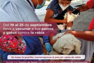 Realizaran Jornada Nacional de Vacunacion Antirrabica Canina y Felina 2021 en el estado de QRO scaled
