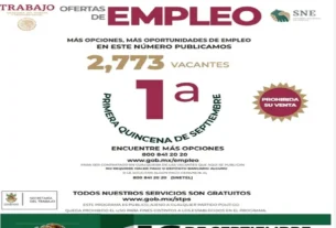 Se ofertan 2773 plazas de trabajo para todos los perfiles en la 1era quincena de septiembre