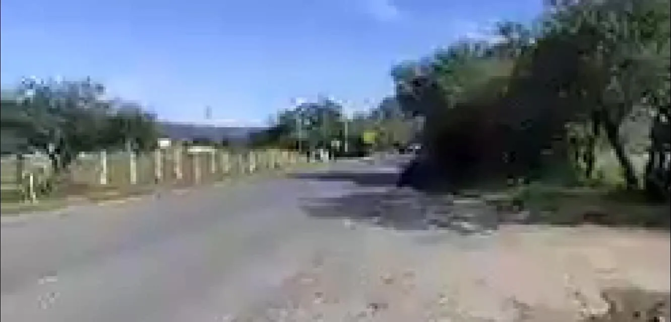 Asegura GN bodega con presuntos vehículos robados 3 1633646431 758 Asegura GN bodega con presuntos vehiculos robados