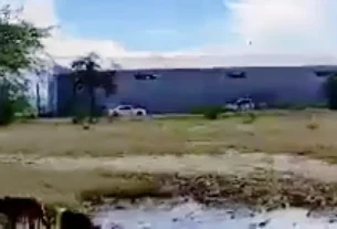 Asegura GN bodega con presuntos vehículos robados
