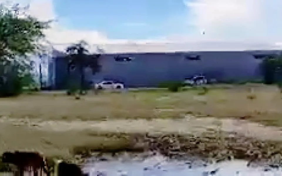 Asegura GN bodega con presuntos vehículos robados 2 Asegura GN bodega con presuntos vehiculos robados