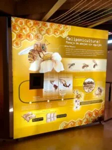 CECEQ inaugura exposición Producir Conservando 2 CECEQ inaugura exposición Producir Conservando