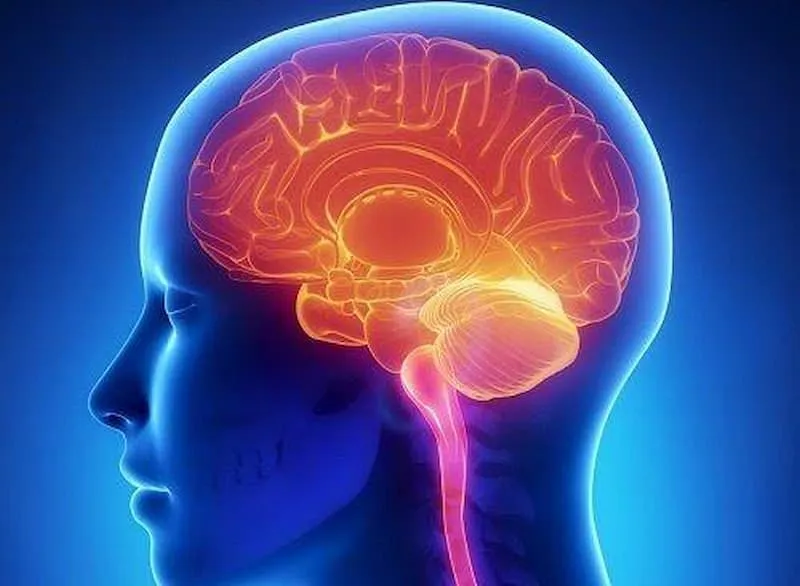 Importante cuidarte antes durante y despues del parto para evitar paralisis cerebral