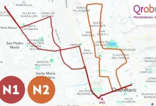 Qrobus brindara dos rutas nocturnas este 28 y 29 de octubre 2