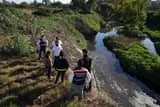 REVISAN PC Y CENAPRED CONDICIONES DEL SUELO EN LA RUEDA 4 May be an image of 6 people, people standing, tree and body of water