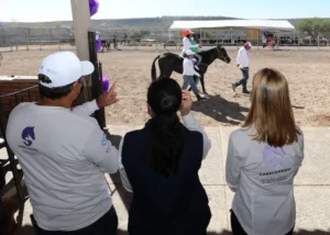 Inician programa de equinoterapia en DIF Estatal de Querétaro 3 Inician programa de equinoterapia en DIF Estatal de Querétaro