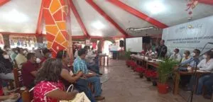 Lenguas indígenas nacionales, identidad cultural de los pueblos originarios; INALI 2 Lenguas indígenas nacionales, identidad cultural de los pueblos originarios; INALI