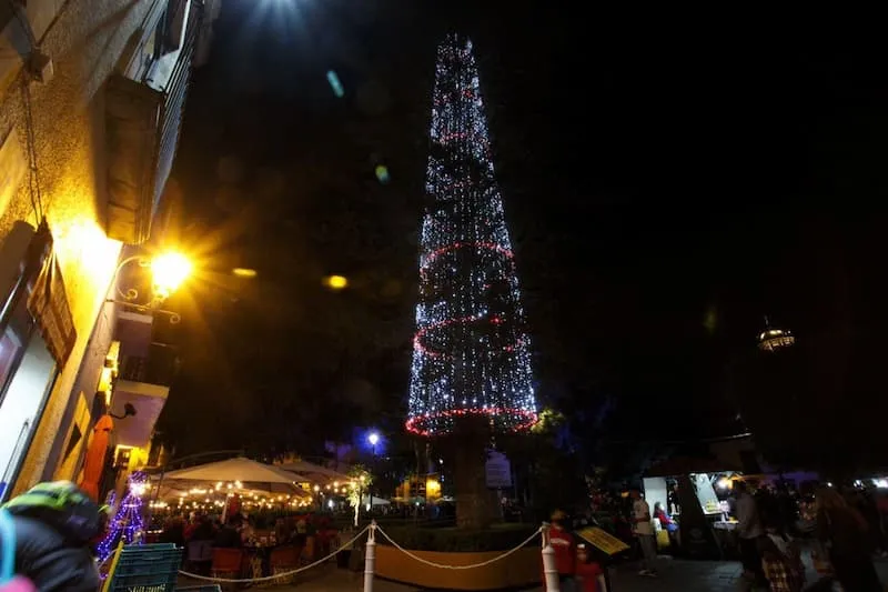 Mauricio Kuri enciende el arbol de la Amistad y Nacimiento Monumental en Queretaro 2