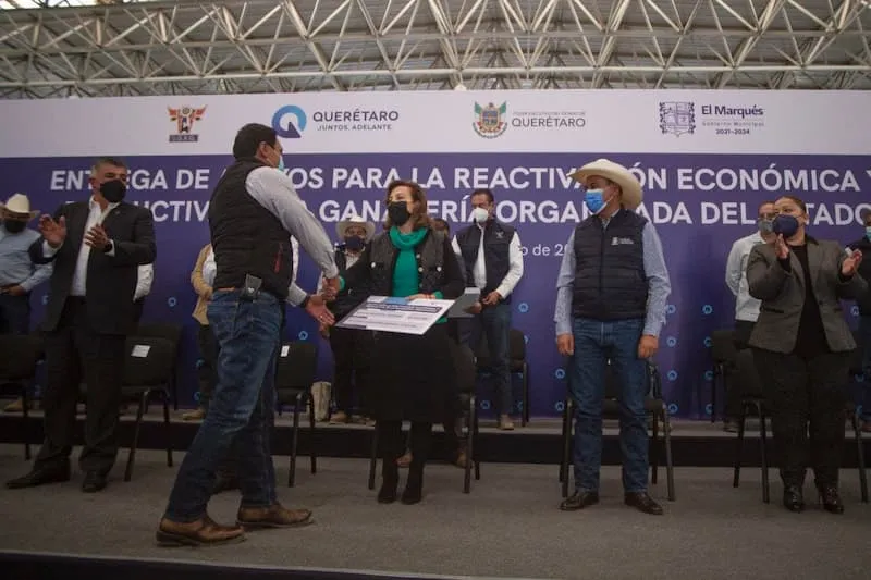 Gobierno de Queretaro entrego 15 mdp para apoyo al sector ganadero 2