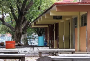 Clases presenciales oportunidad para que alumnos recobren su vida