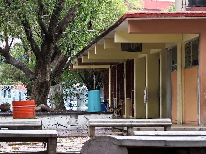 Clases presenciales oportunidad para que alumnos recobren su vida