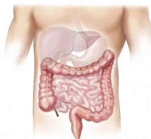 Conmemora SESEQ Día Nacional contra el Cáncer Colorrectal