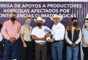 Entrega SEDEA apoyos de maiz a productores de Queretaro 2