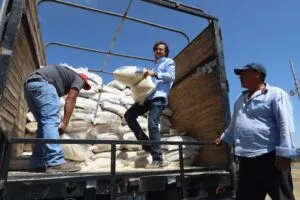 SEDEA 151 toneladas de maíz a productores agrícolas de Huimilpan