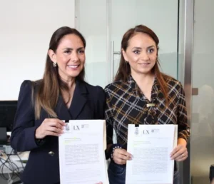 Diputada Selene Salazar presentó 2 iniciativas en materia de Salud Mental