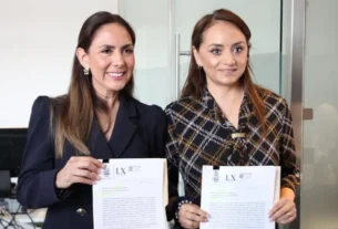 Diputada Selene Salazar presento 2 iniciativas en materia de Salud Mental 2