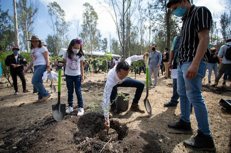 Inicia Temporada de Reforestacion 2022 en estado de Queretaro 1