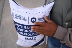 SEDEA entregó 23 toneladas de grano de maíz a agricultores de Tolimán