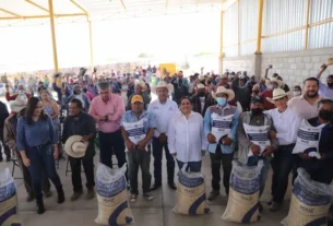 SEDEA entrego 23 toneladas de grano de maiz a agricultores de Toliman 2