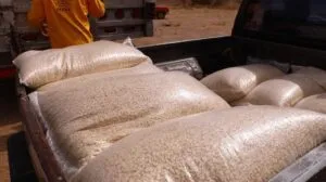 SEDEA reporta un avance del 80% en la entrega del seguro agrícola catastrófico