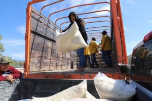 Más de 600 productores de Colón fueron beneficiados con 2da entrega de maíz