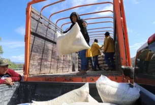 Mas de 600 productores de Colon fueron beneficiados con 2da entrega de maiz 2