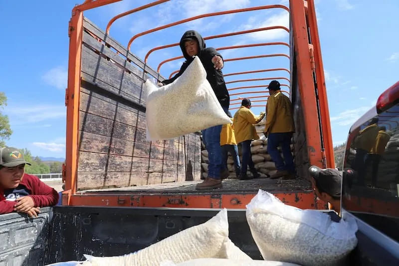 Mas de 600 productores de Colon fueron beneficiados con 2da entrega de maiz 2