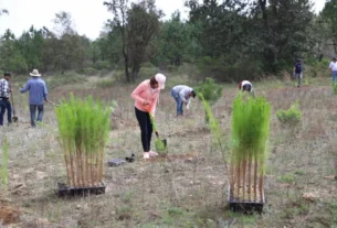 Ejido Perales recibe 518 mil pesos para Jornada de Reforestacion 3 1