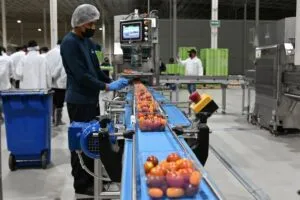 Empresa Finka amplía operaciones en Querétaro con inversión de mil 200 mdp