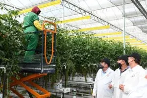 Empresa Finka amplía operaciones en Querétaro con inversión de mil 200 mdp