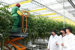 Empresa Finka amplia operaciones en Queretaro con inversion de mil 200 mdp 2