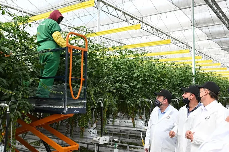 Empresa Finka amplia operaciones en Queretaro con inversion de mil 200 mdp 2