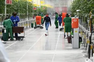 Empresa Finka amplía operaciones en Querétaro con inversión de mil 200 mdp