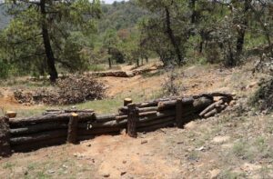 SEDEA supervisa restauración Integral de Suelos Forestales en Ejido Perales