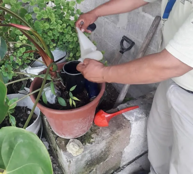 SESEQ conmemora el Dia Internacional contra el Dengue 1