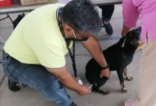 SESEQ prepara Jornada Nacional de Vacunacion Antirrabica Canina y Felina 2022 en el estado de Queretaro 2
