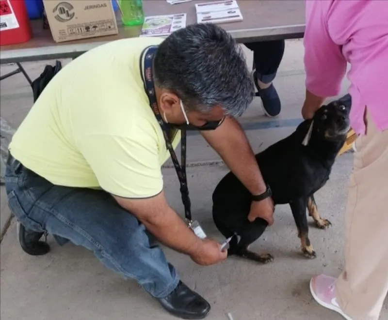 SESEQ prepara Jornada Nacional de Vacunacion Antirrabica Canina y Felina 2022 en el estado de Queretaro 2