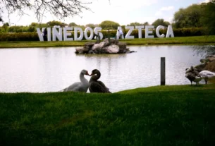 Vinedos Azteca en Ezequiel Montes presentara La Vendimia mas Mexicana 2