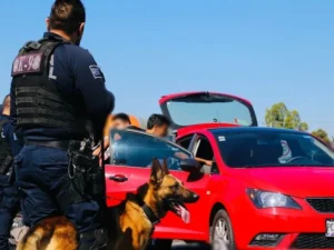 POES incrementa su efectividad en 74% durante abril - septiembre 2022 2 POES incrementa su efectividad en 74% durante abril - septiembre 2022
