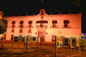 Palacio de Gobierno se ilumina de amarillo ocre conmemorando el Día Mundial de la Alimentación 2 Palacio de Gobierno se ilumina de amarillo ocre conmemorando el Día Mundial de la Alimentación