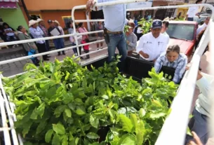 SEDEA impulsa la produccion de cafe en la Sierra Gorda de Queretaro 2